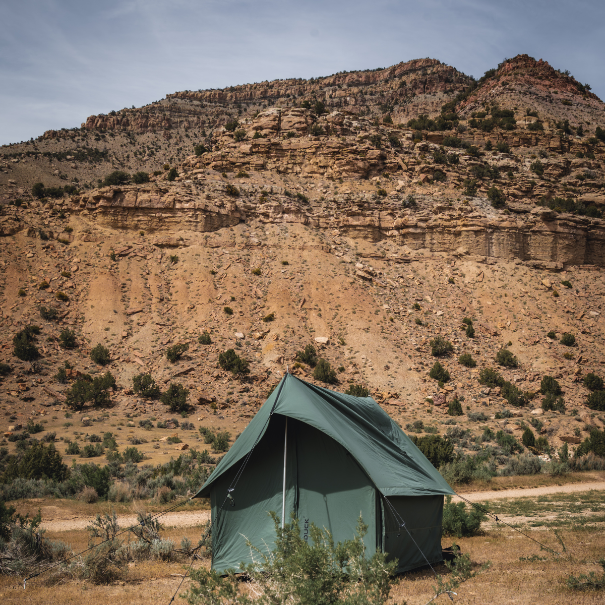 Green tent in a desert landscape with rocky mountains in the background