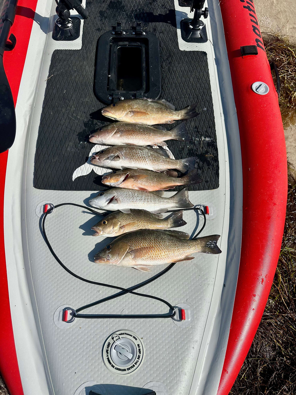 Clear Water Aruba Pedal Drive Paddleboard Kayak - Clear Water Trading Co.