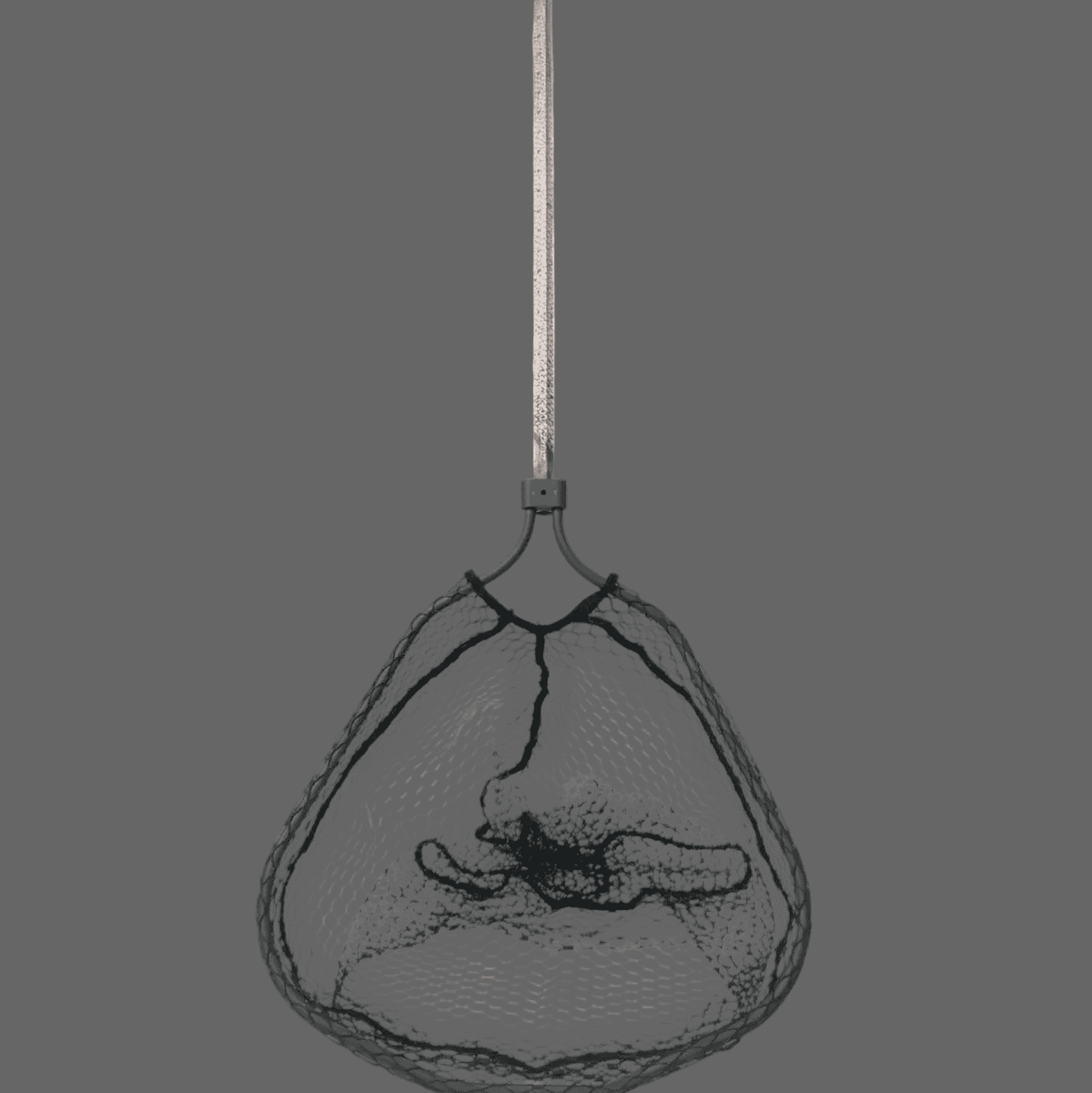Catch Cam Steelhead Net - Steelhead Edition Landing Net
