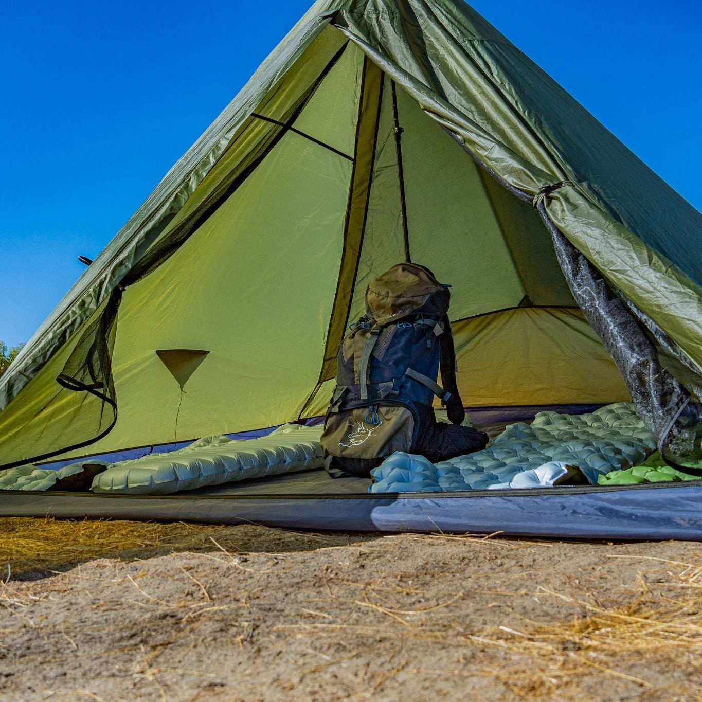 An olive green camping tent pitched on sandy ground under a clear blue sky, with a sleeping bag and backpack visible inside.