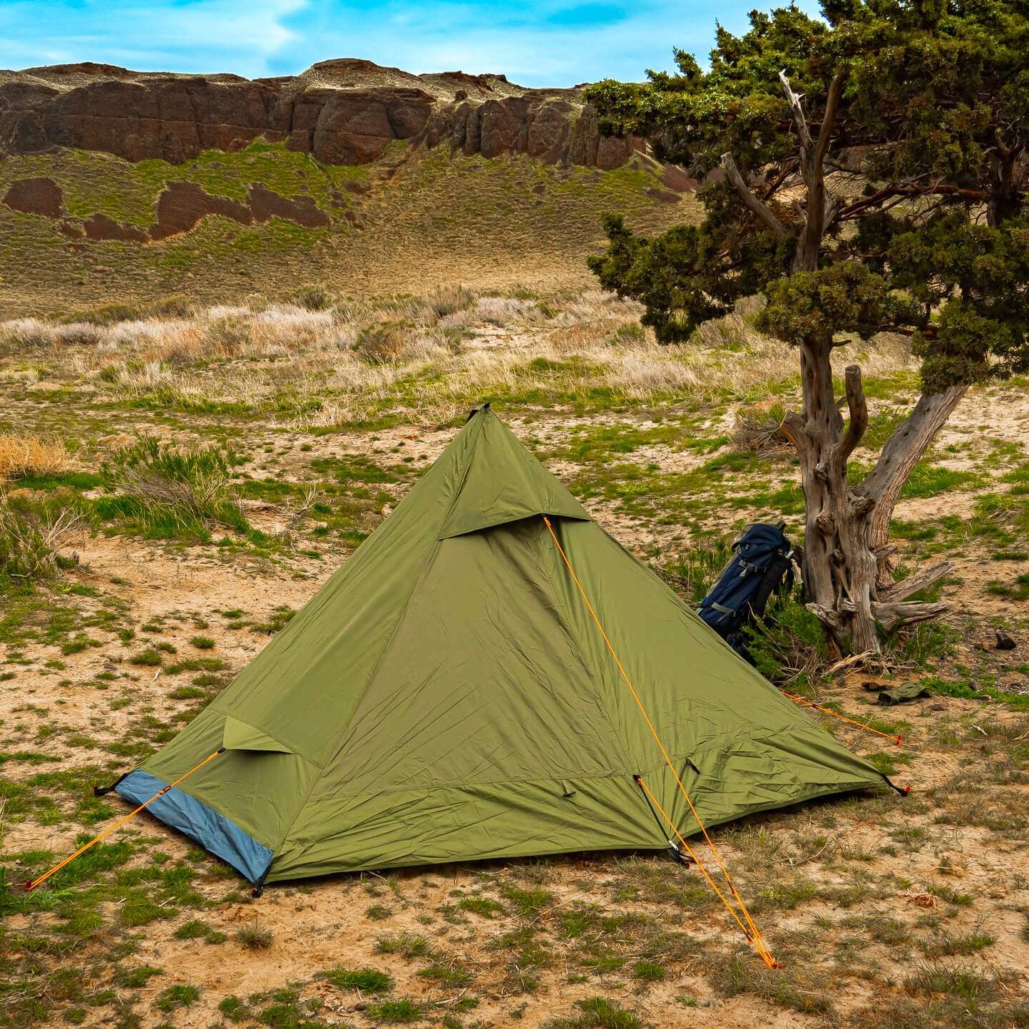 Green tent set up in a desert landscape with a tree and rocky hills in the background.